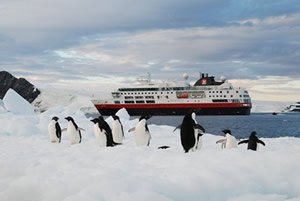 MS Fram with penguins in foreground