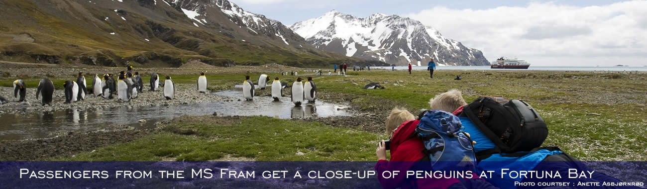 Passengers from the MS Fram get a close-up of penguins at Fortuna Bay