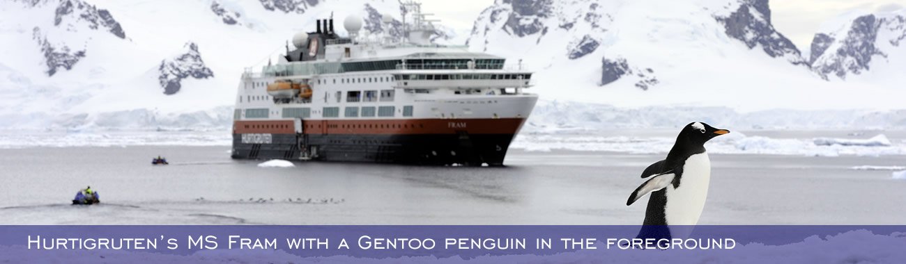 Hurtigruten's  MS Fram with a Gentoo penguin in the foreground